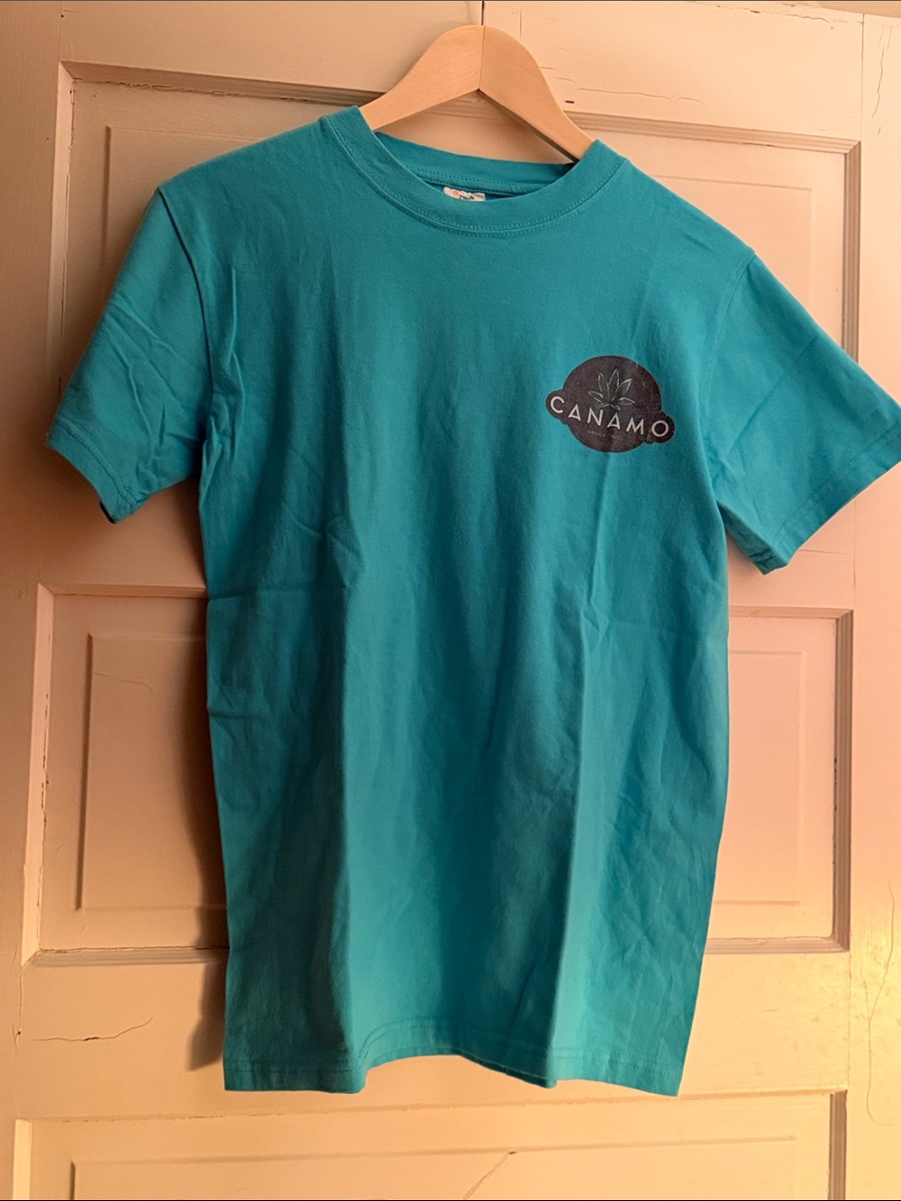 Light blue T-shirt. Great cotton.